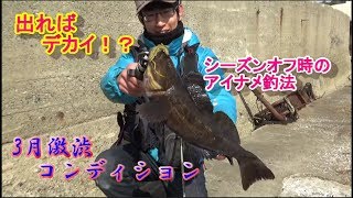 出ればデカイ！？活性が低いロックフィッシュゲーム！3月宮城ロック[前半]