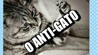 CAPAS PARA SOFÁ COM TECIDO ANTI-GATO