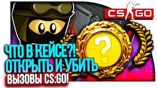 ЧТО В КЕЙСЕ?! - CS:GO ВЫЗОВЫ! #24