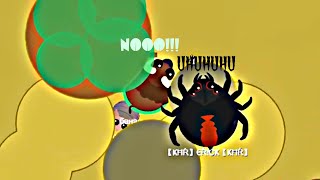 Mope.io тролю игроков Черной Вдовой! | Mope.io Black Widow troll!