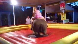 Jazda na byku,Верхом на быке,Riding the bull