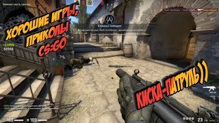 Хорошие игры, приколы CS:GO "КИСКА-ПАТРУЛЬ))"