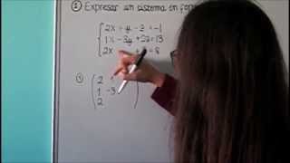 1. Expresar un sistema en forma matricial