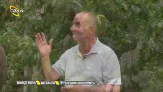 Bahçe Sera - Serada Şeftali Yetiştiriciliği