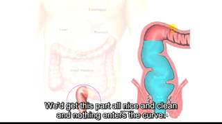 How To Clean Your Butthole Before Have A Sex!
