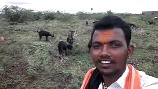 Saagariye saagariye ... Superb Voice