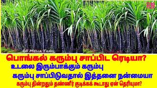 Sugarcane Iron Bodyguard பொங்கல் கரும்பு சாப்பிட ரெடியா இதில் இத்தனை நன்மையா  உடலை இரும்பாக்கும்
