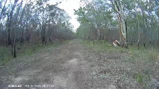 Old Maryborough-Hervey Bay Rd