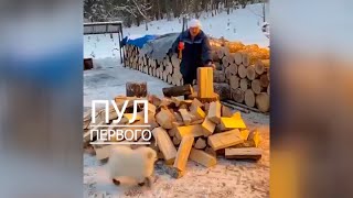 Что Лукашенко делает на Крещение? // Белорусы окунаются в прорубь