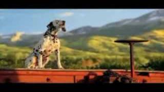 bud light - clydesdale