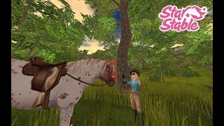 GETTING LIFETIME STAR RIDER | 30% OFF |  + NEW JORVIK PONY? |Star Stable Online
