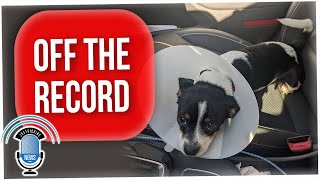 Off The Record: Too Many Puppies & Steve is Julia's Boss??