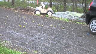 Indigo Buntings in New Paltz May 9, 2014