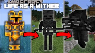 Minecraft LIFE AS A WITHER SKELETON MOD / DON'T BREAK YOUR BONES !! Minecraft Mods
