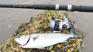 Catch and Cook- Smoked Fish & Raw Fish