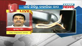 Snake Found In Vehicle Dickey In Bhubaneswar