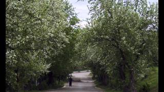 про город дегтярск