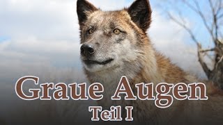 [Mystery] "Graue Augen - Teil I" von Laica - Hörbuch