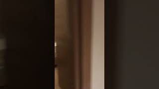 Номер в отеле Ramada Resort Lara 5* Турция, Анталия