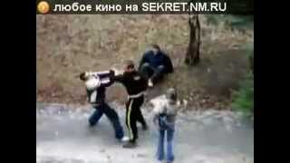 Почему гопники не любят спортсменов )