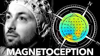 Can Humans Sense Magnetic Fields?