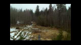 Охота на медведя у привады. Bear hunting with bait.