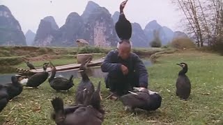 He dances for his cormorants - The Lords of the Animals