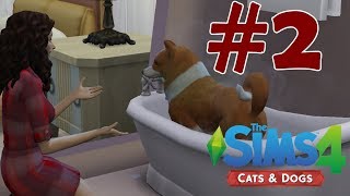 Banyo Zamanı | The Sims 4 Cats & Dogs #2