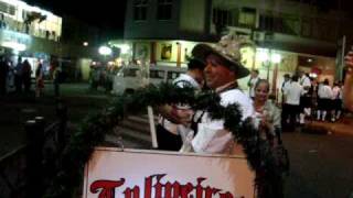 desfile os tulipeiros
