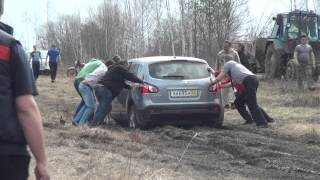 Ветка сакуры 2013