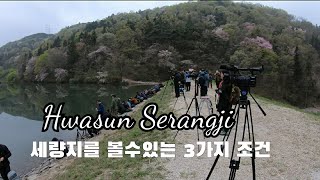 #81 [4K] 화순여행, 봄 세량지, 전남 화순에서 가볼만한곳, CNN선정 한국 추천 명소, 전라도여행
