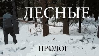 Merry christmas | Выход в зимний лес под новый год