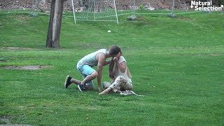 Поцелуй ПРАНК / Kissing Prank