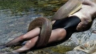 Giant Snake Eat a girl, You haven't seen this before  !!!!  Warning Kids don't play this video !!!