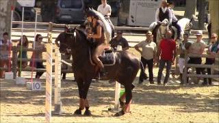 Tenorio de Verlin - Maniabilité Rapide - Beaucaire 2014