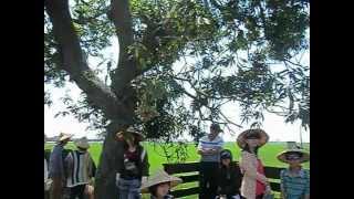 無米樂社區，感謝台中鴻奇CNC公司,西北旅行社~參訪菁寮天主堂黃永全導覽