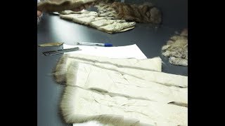 Растяжка шкурок норки . Подготовка. Ч.1.