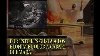 POR QUE PEDIAN LOS ELOHIM HOLOC4USTOS DE CARNE QUEMADA