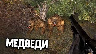 ВСТРЕТИЛ МЕДВЕДЕЙ В ЗАБЫТОМ ЛЕСУ. S.T.A.L.K.E.R. НАРОДНАЯ СОЛЯНКА 2016 #9