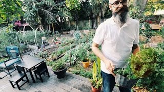 Man Turns His Urban Lawn Into A Garden Paradise