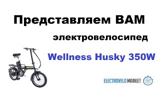 Электровелосипед Wellness Husky 350W   отличный эконом вариант!