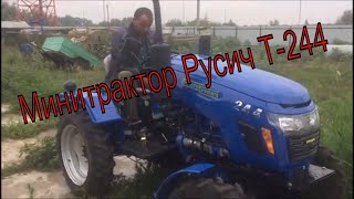 Минитрактор Русич Т-244