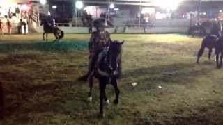 EL BANDOLERO PRECENTACION DE CABALLOS EXPO GANADERA L T GANADERIA RANCHO EL MILAGRO