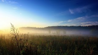 Охота #33 ночью на поле