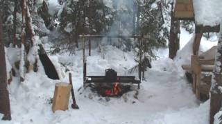 Лесная жизнь.Охота.Вологда.m2t
