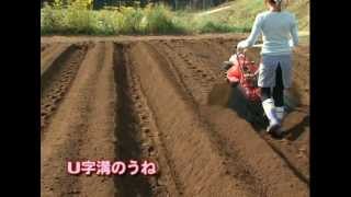 YANMAR ポチ MRTシリーズ ミニ耕うん機