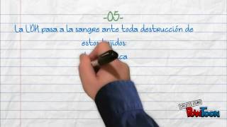 desidrogenasa lactica