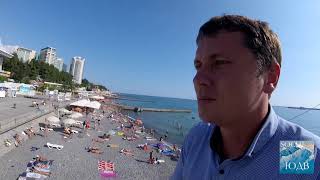 Есть ли цветение морской воды в Сочи? SOCHI-ЮДВ |Недвижимость Cочи ||ЖК Cочи