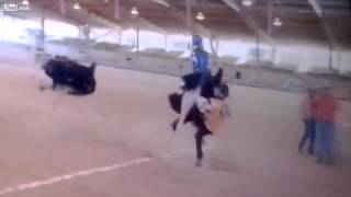 Ostrich Racing Collision
