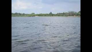 Затока ст. Лиманская Рыбалка на озере